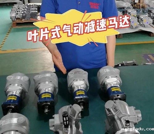 叶片式气动减速马达视频