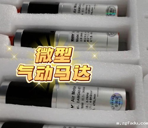 微型气动马达