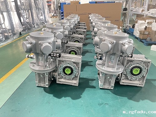 DSV批量蜗轮蜗杆s10竞猜雷竞技用于过滤器设备