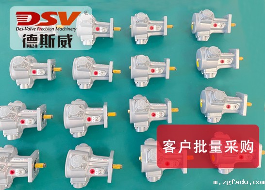 DAM3-IEC活塞式气动马达(圆法兰)