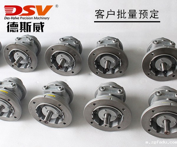 DAV8-IEC叶片式气动马达(国标法兰)