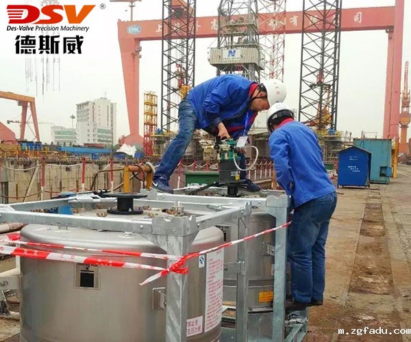 HY603 – 00SM船用气动马达