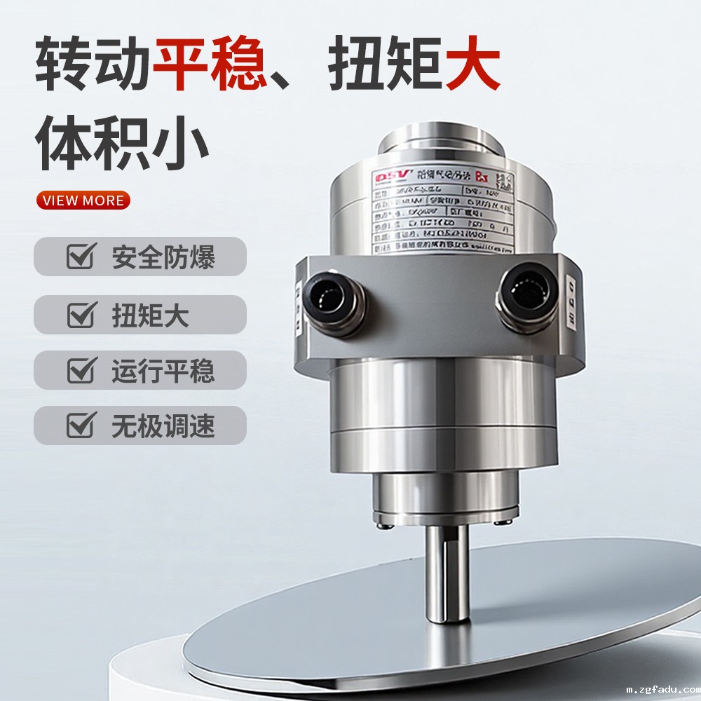 不锈钢气动马达