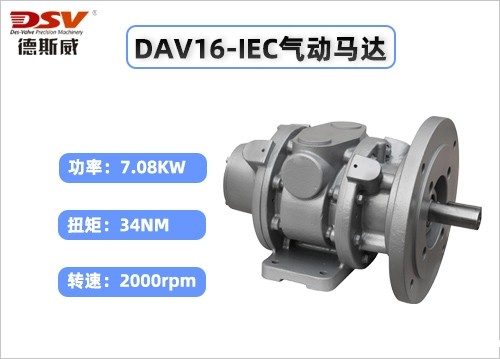 DAV16-IEC叶片式气动马达 （国标法兰）