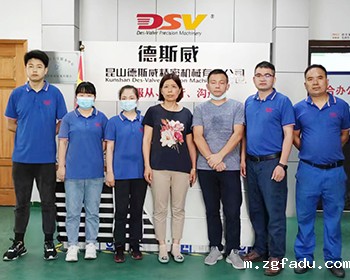 徳斯威顺利通过ISO9001质量管理体系监督审核