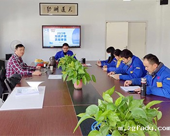 雷竞技newbee官网赞助商2023年度知识产权贯标监督审核